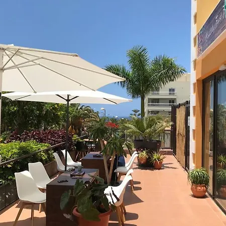 Apartament Casa Reinhart Sehr Schoenes Um Teneriffa Zu Erkunden Palm-mar